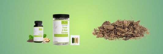 Black Cohosh for Hot Flashes: An Evidence-Based Guide for Menopause