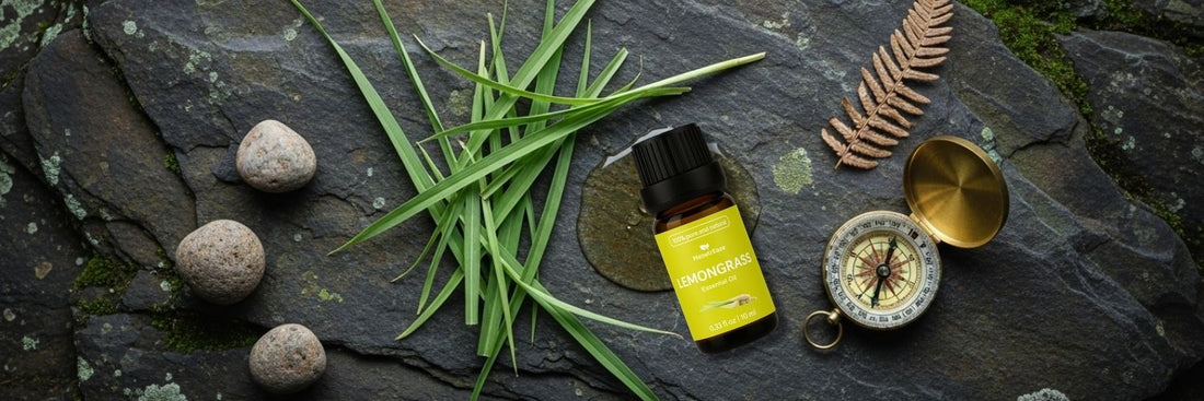 Embrace the Outdoors: Essential Oils for Your Best Labor Day Camping Trip