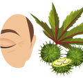 Logo for Castor Oil for Wrinkles