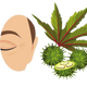 Logo representing this research and benefits: Castor Oil for Wrinkles