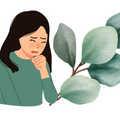 Logo for Eucalyptus for Cough Relief