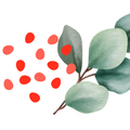 Logo for Eucalyptus for Anti-inflammatory