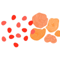 Logo for Frankincense for Anti-inflammatory