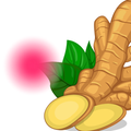 Logo for Ginger for Periods