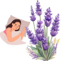 Logo for Lavender for Sleep