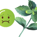 Logo for Peppermint for Nausea