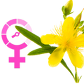 Logo for St John's Wort for Menopause