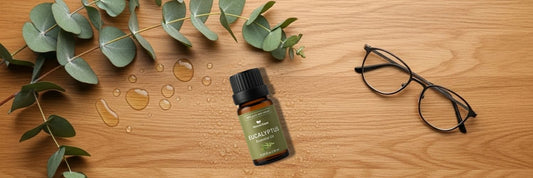 Clear Breaths for the Seasonal Change: Unlocking the Purifying Power of Eucalyptus Essential Oil
