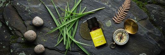 Embrace the Outdoors: Essential Oils for Your Best Labor Day Camping Trip