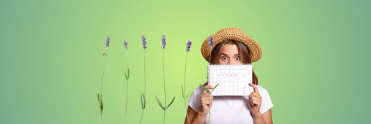 Lavender for PMS & Period Pain: Science on Relief
