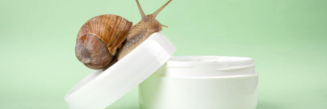 Snail Mucin Skin Benefits - Unlocking Radiant Skin for Women