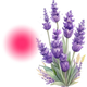 Lavender for Periods