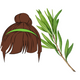 Logo representing this research and benefits: Tea Tree Oil for Hair